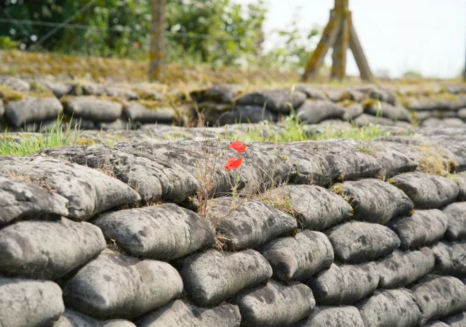 ©iStock/GS Photography