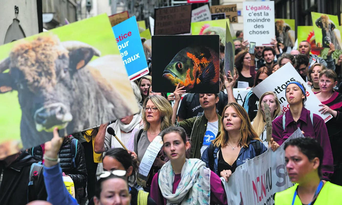 © Keystone / Martial Trezzini