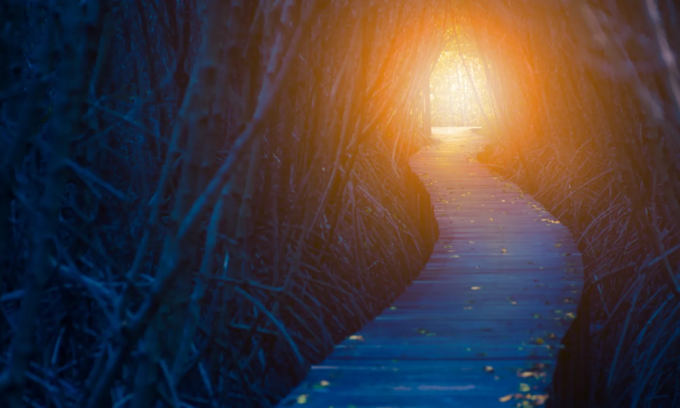 ©iStock/NirutiStock