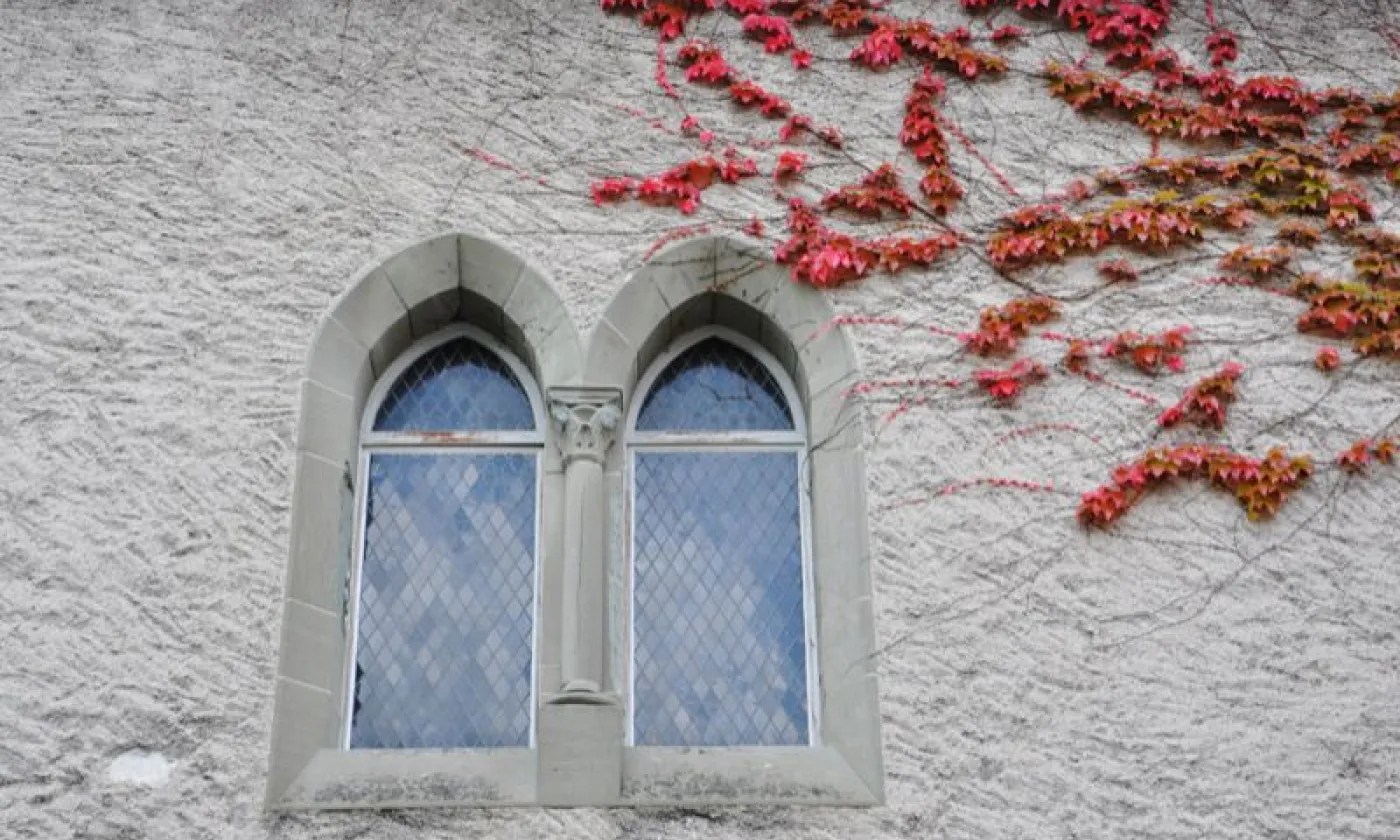 Alexandra Urfer Jungen