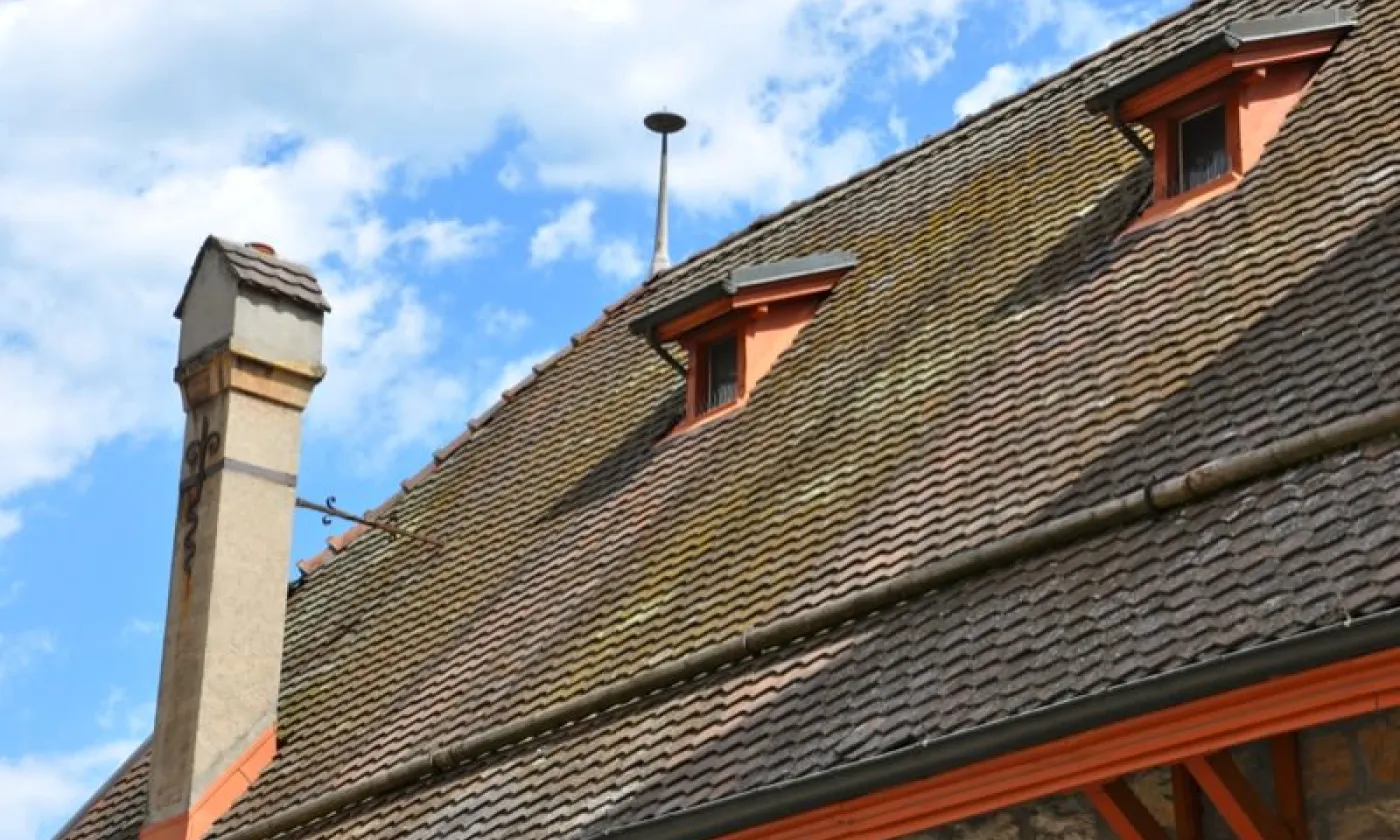 Alexandra Urfer Jungen