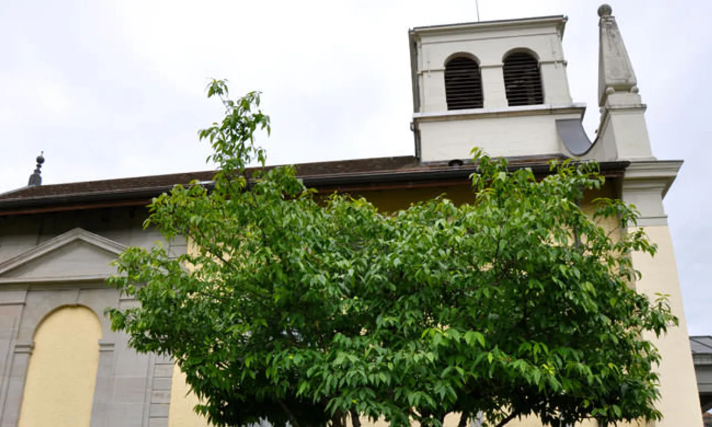 Alexandra Urfer Jungen