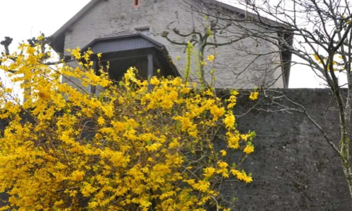 Alexandra Urfer Jungen